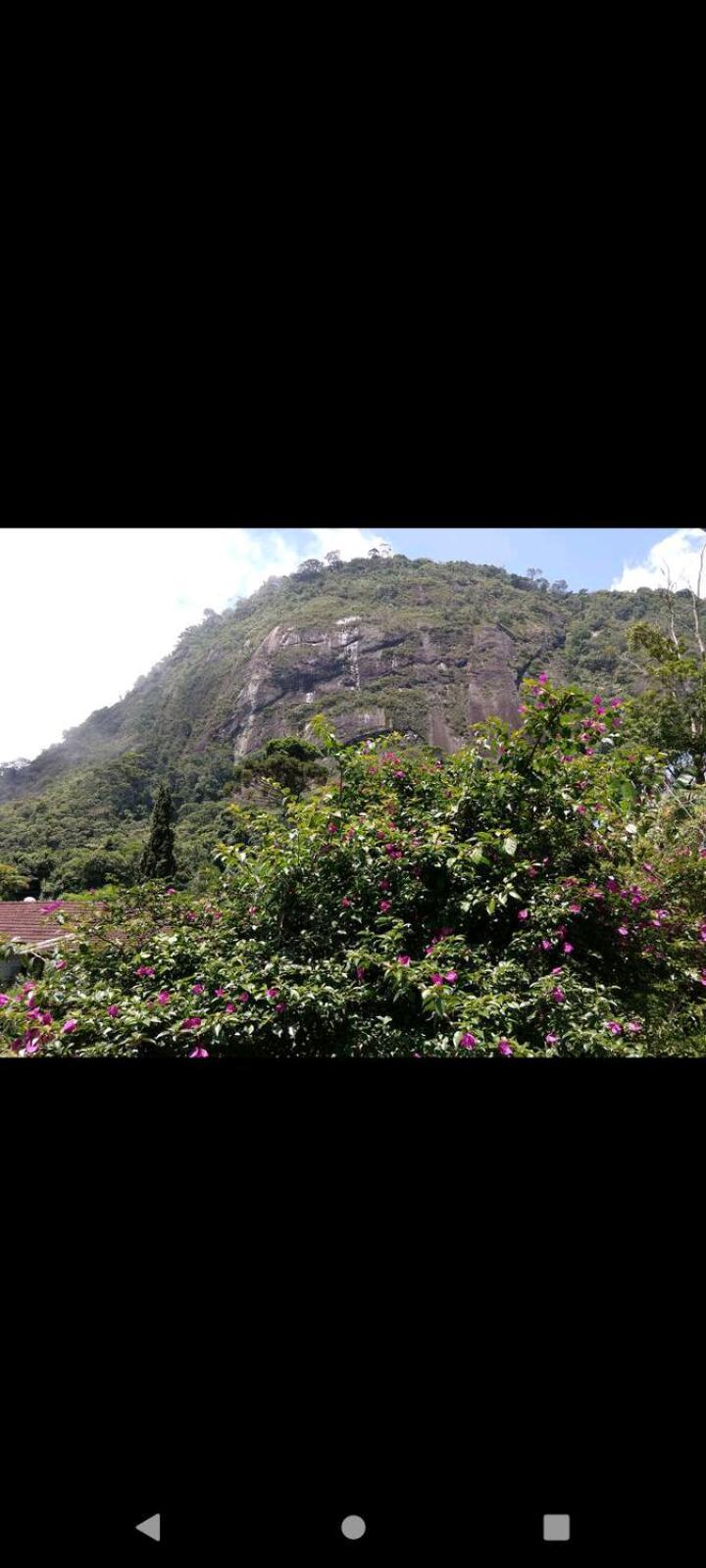 Casa Junto Ao Parque Villa Teresópolis Eksteriør billede
